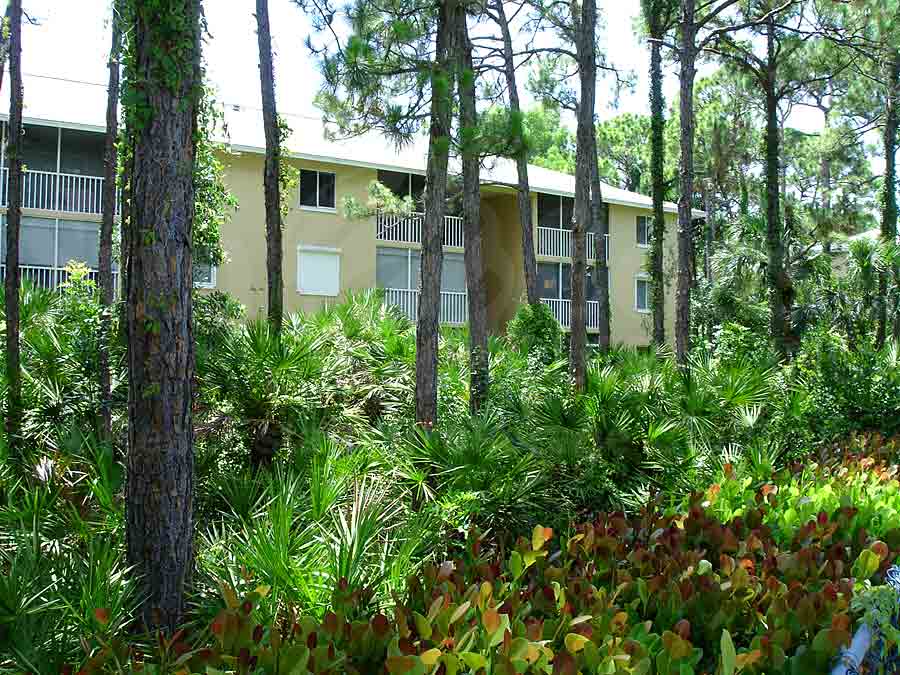 NAPLES SANDPIPER BAY CLUB Woods View
